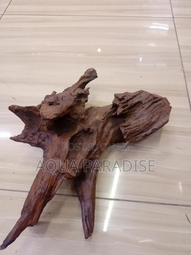 Aquarium Drift Woods Available - thumbnail 9