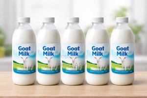 Dairy Goat Milk for Sale