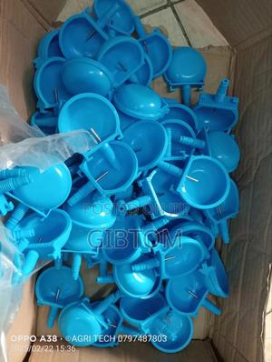 Rabbit Blue Cup Drinkers - main view