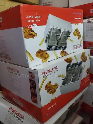 Double Tank 6+6lt Chips/Chicken Stainless Steel Double Deep Fryer