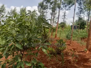 Land on Sale;Kimorori- Kenol