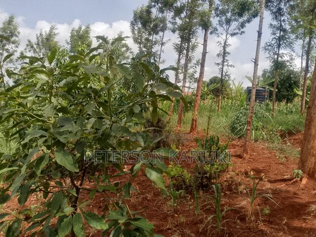 Land on Sale;Kimorori- Kenol - main view