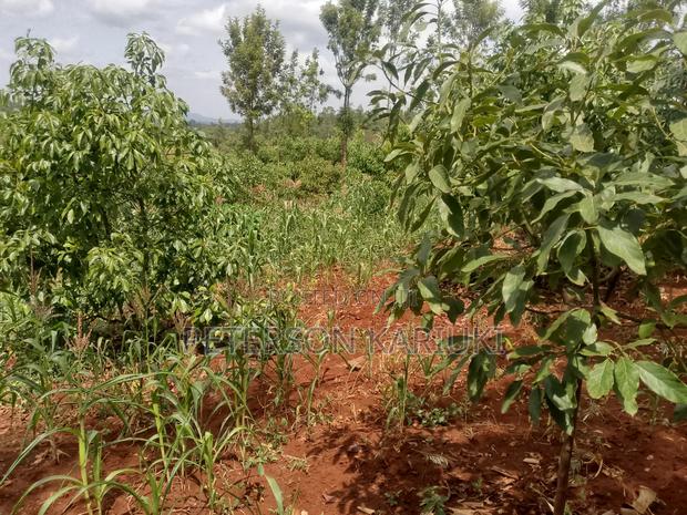 Land on Sale;Kimorori- Kenol - thumbnail 2