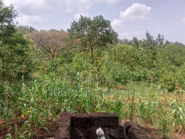 Land on Sale;Kimorori- Kenol - thumbnail 3