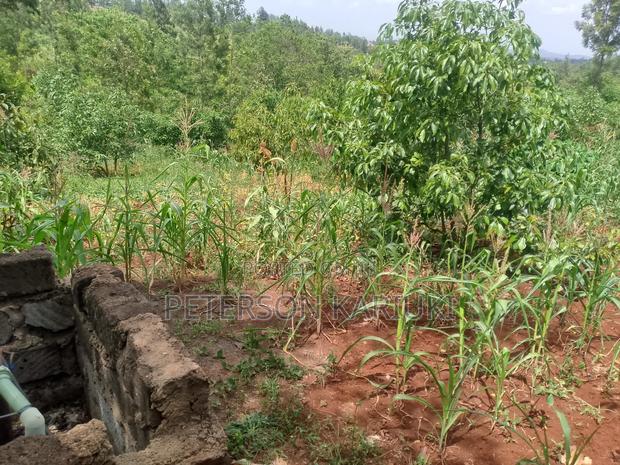 Land on Sale;Kimorori- Kenol - thumbnail 4