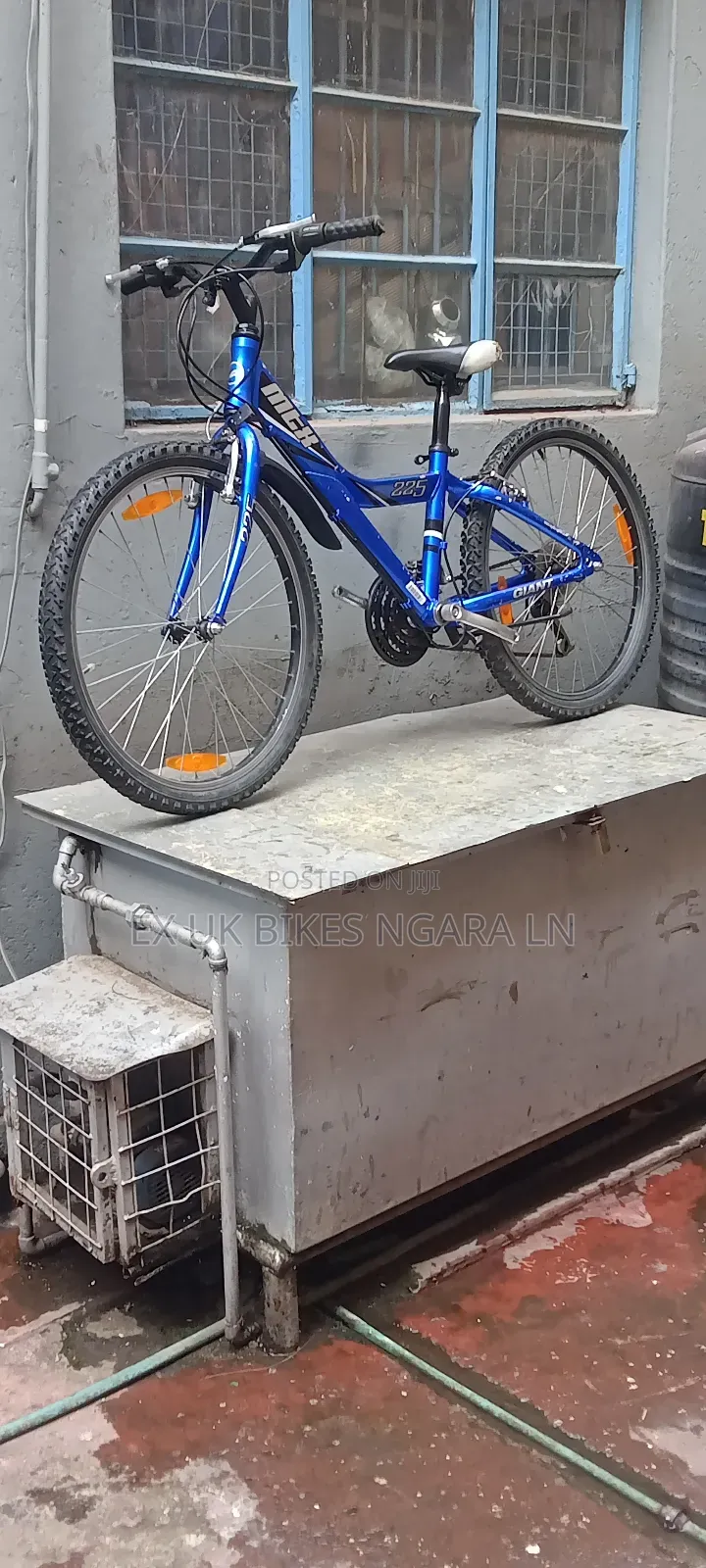 Ex Uk Size 24 Aluminum Giant Mountain Bike