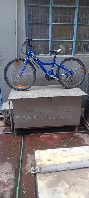 Ex Uk Size 24 Aluminum Giant Mountain Bike