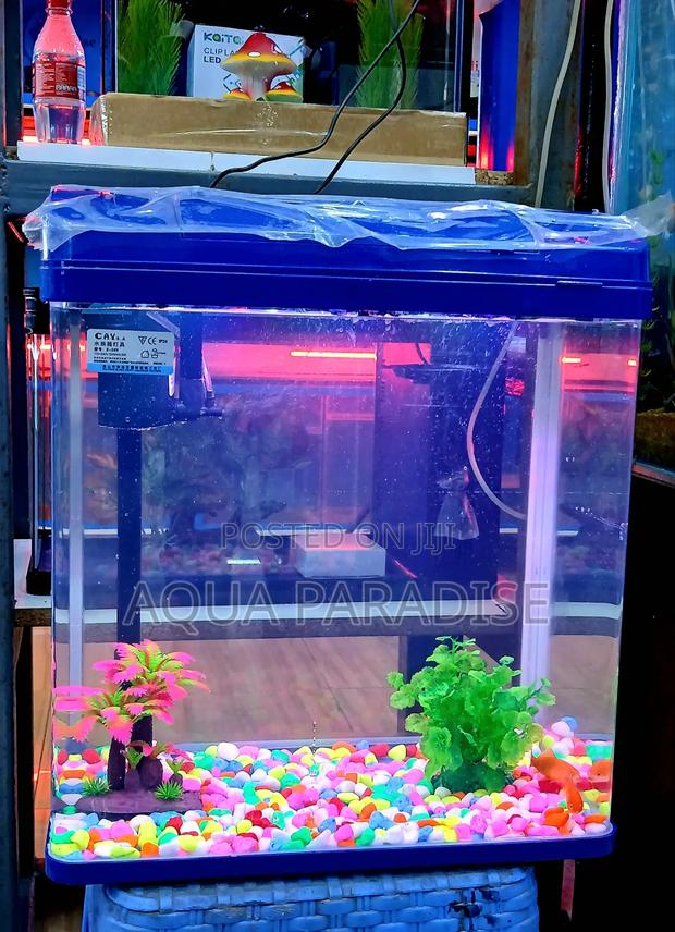 Mini Aquariums - main view