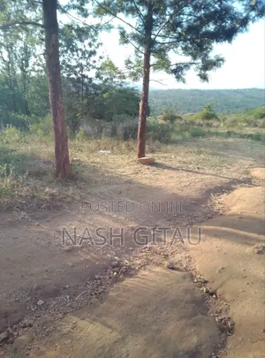 Kenol Sagana Highway Two and a Half Acres for Sale . On Tarmac.