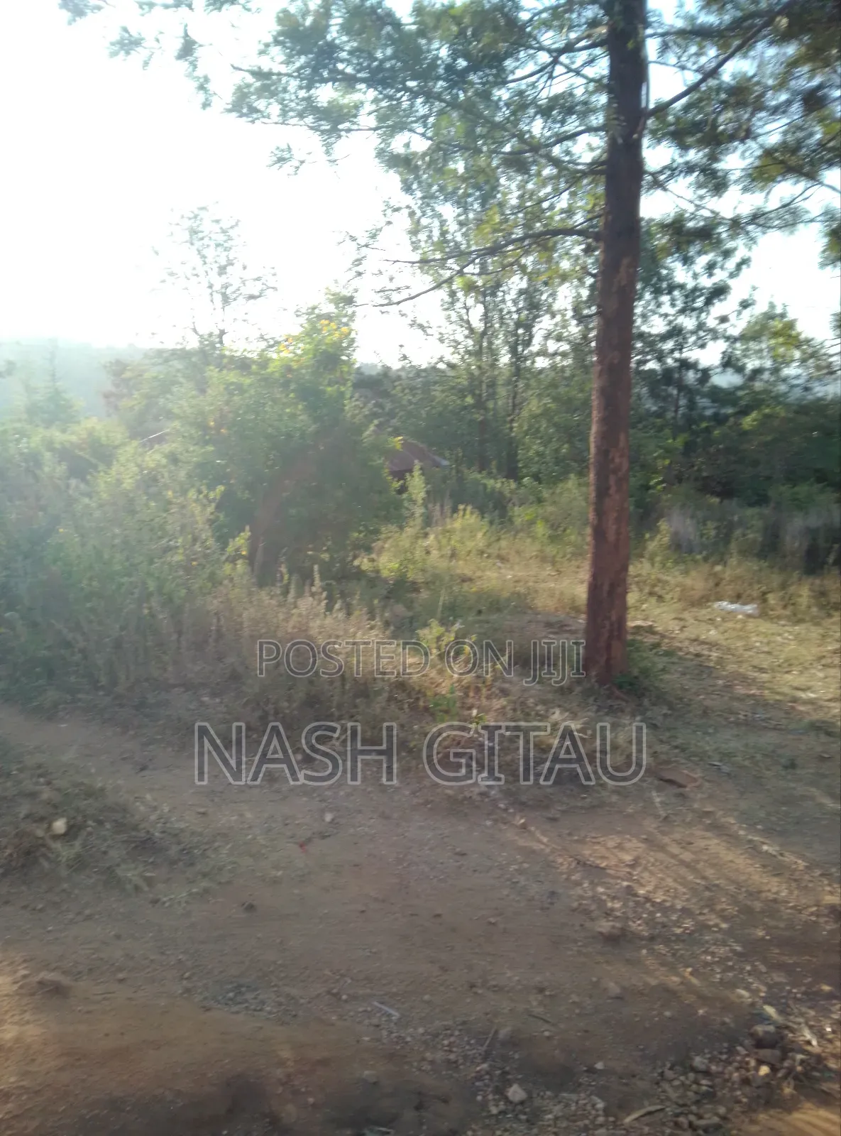 Kenol Sagana Highway Two and a Half Acres for Sale . On Tarmac.