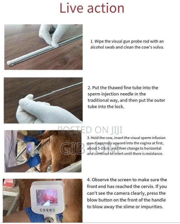 Portable Visual Artificial Insemination (Ai) Gun - thumbnail 3