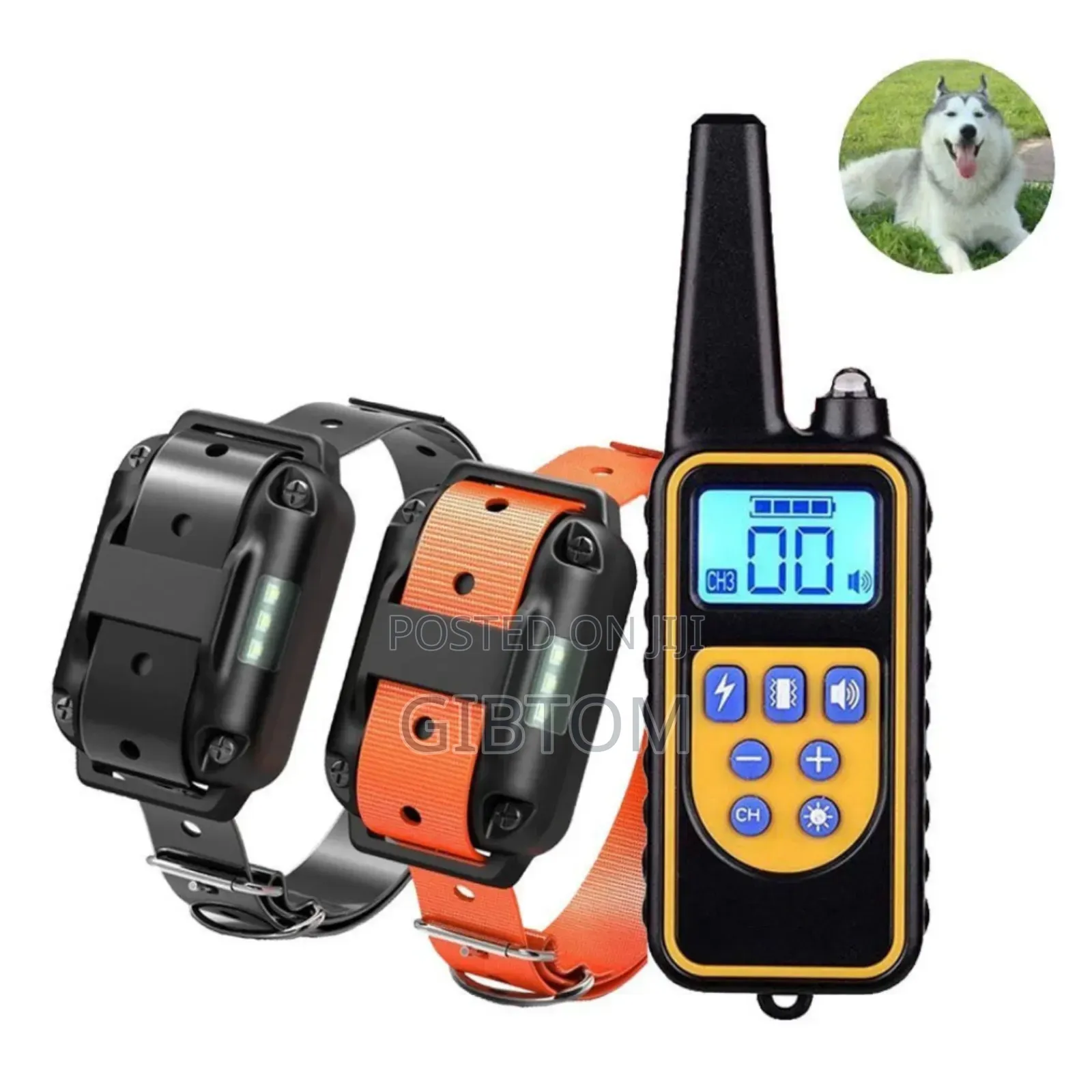 Pets Training Collars Double Channels