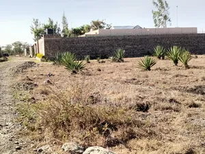 Juja Farm Mumba Plots for Sale