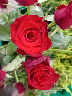 Floriculture - main view