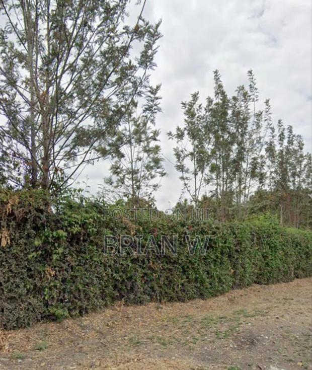 Ruai Plot Available 100 by 100 - thumbnail 4