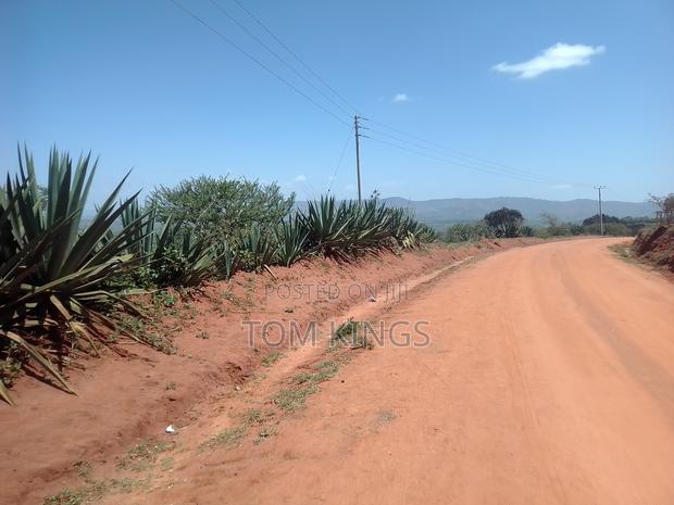 Property One Acre - main view