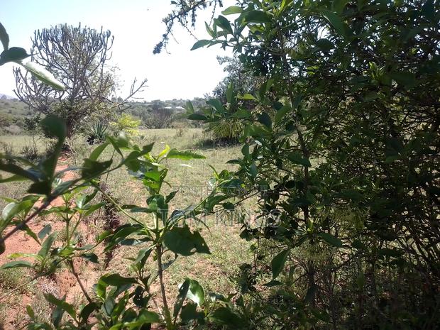 Property One Acre - thumbnail 4