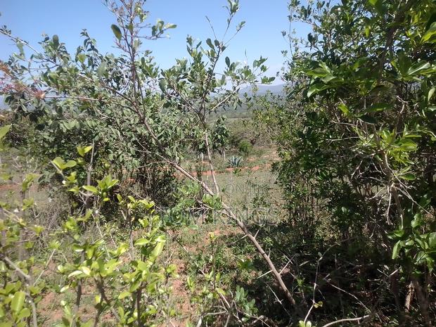 Property One Acre - thumbnail 5