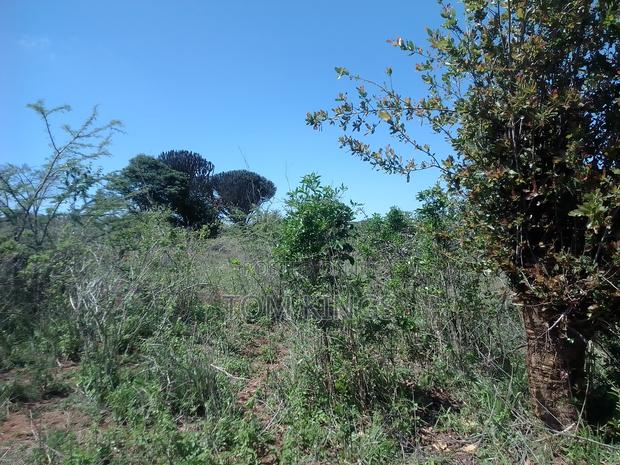 Property One Acre - thumbnail 6