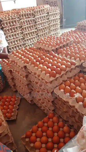 Fresh Eggs