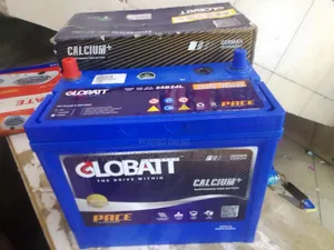 Globatt Ns60 Battery Maintenance Free