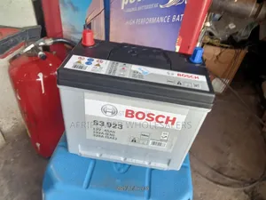 S3 Bosch Ns60/ 045ah Car Battery Maintenance