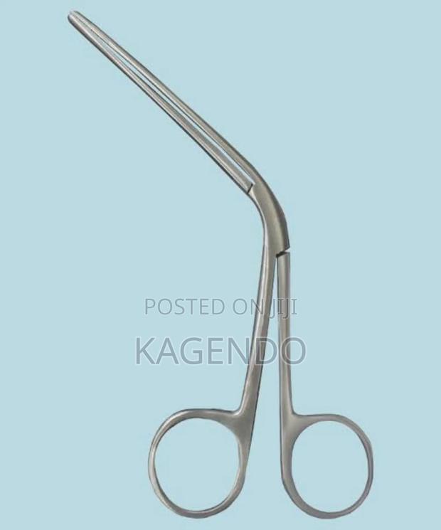 Tilley’S Forceps – Adult - main view