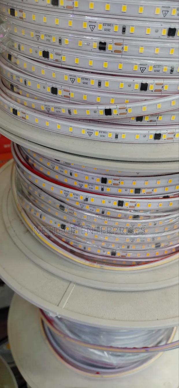 SMD Snakelights Lights - main view