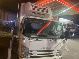 Isuzu Elf Fridge Truck