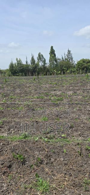 Land for Sale - thumbnail 2