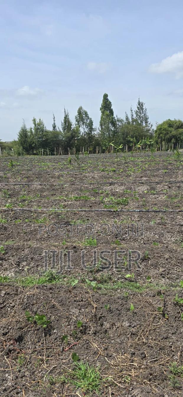 Land for Sale - main view