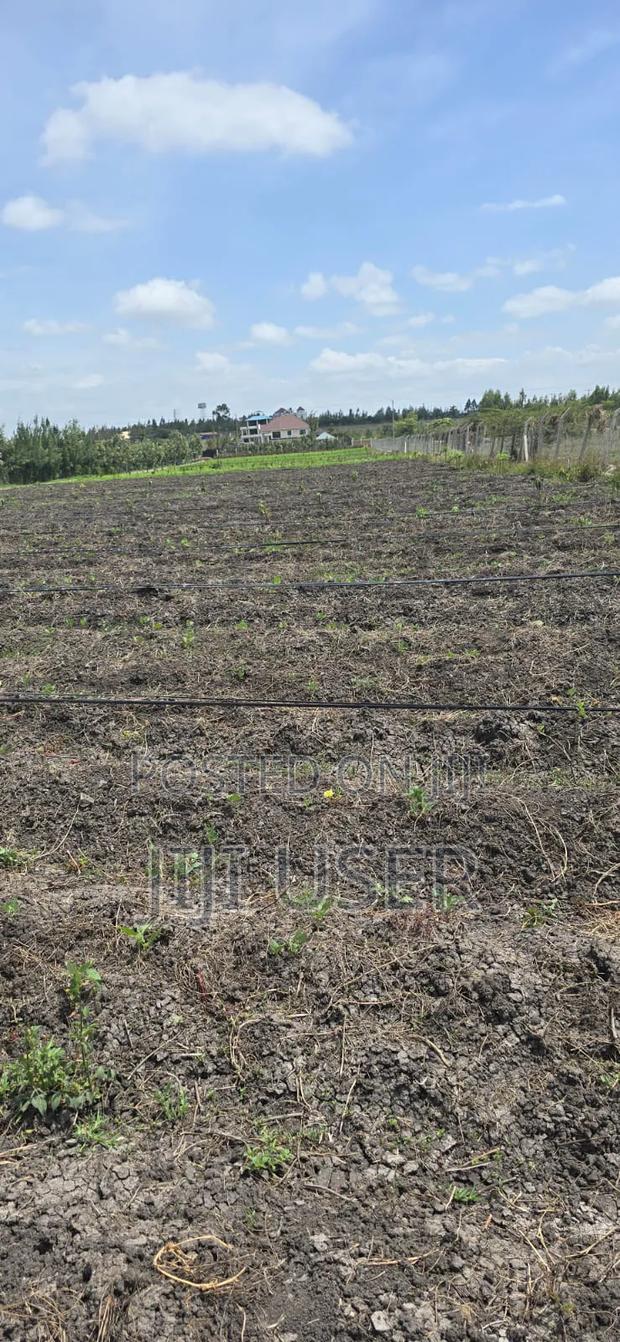 Land for Sale - thumbnail 2