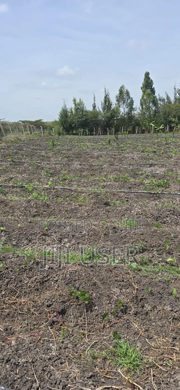 Land for Sale - thumbnail 3