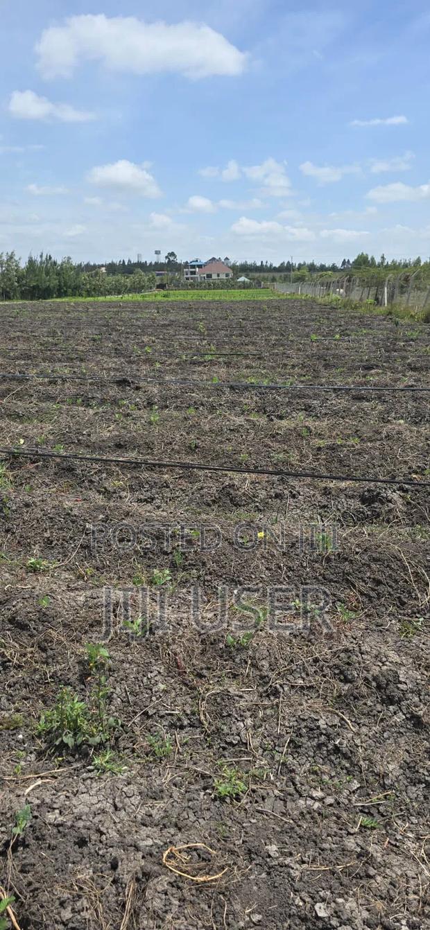 Land for Sale - thumbnail 4