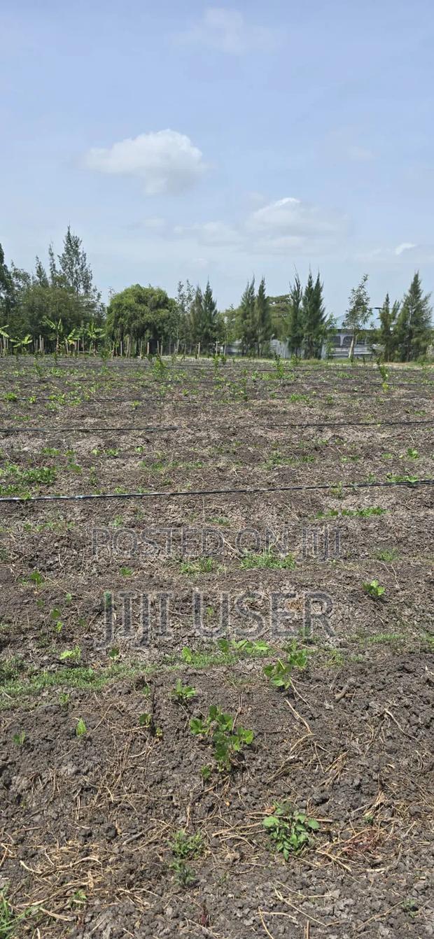 Land for Sale - thumbnail 5