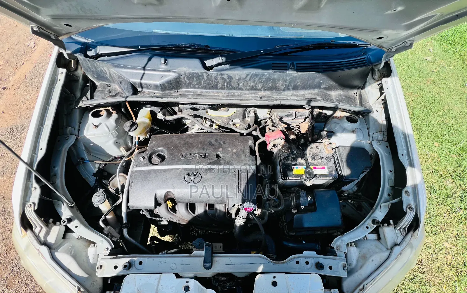 Toyota Succeed 2015 White