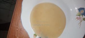 Scoby for Kombucha Drink - main view