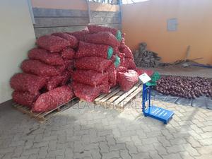 High Grade Red Onions for Sale - main view