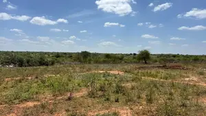50by100 Plots In Kithyoko