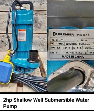 Premier 2hp Shallowwell Water Pump
