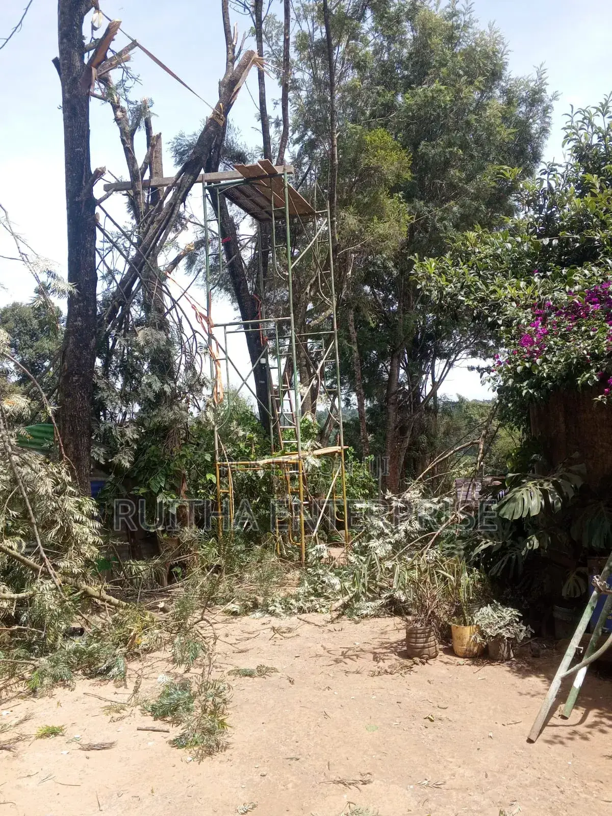 Scaffolding for Hire, Karen, Kikuyu