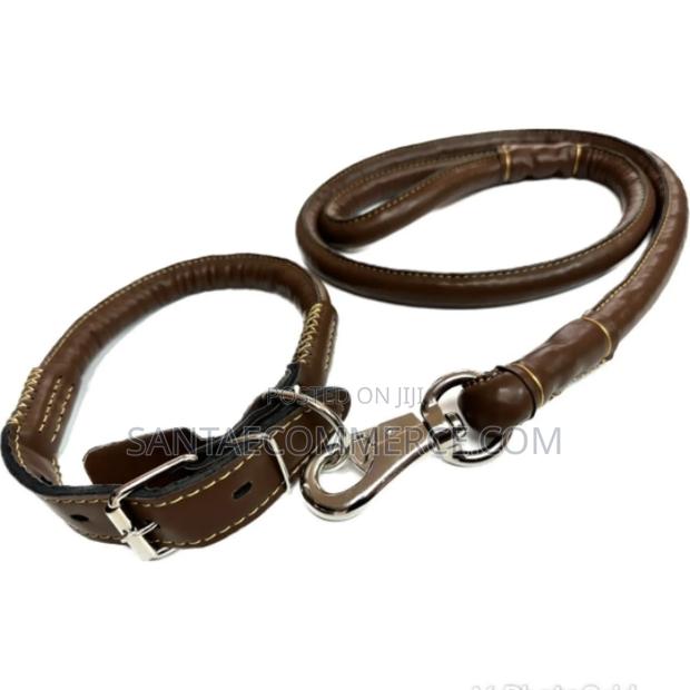 Pleather Collar and Leash - main view