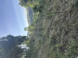 4 Acres Land in Kipipiri for Sale