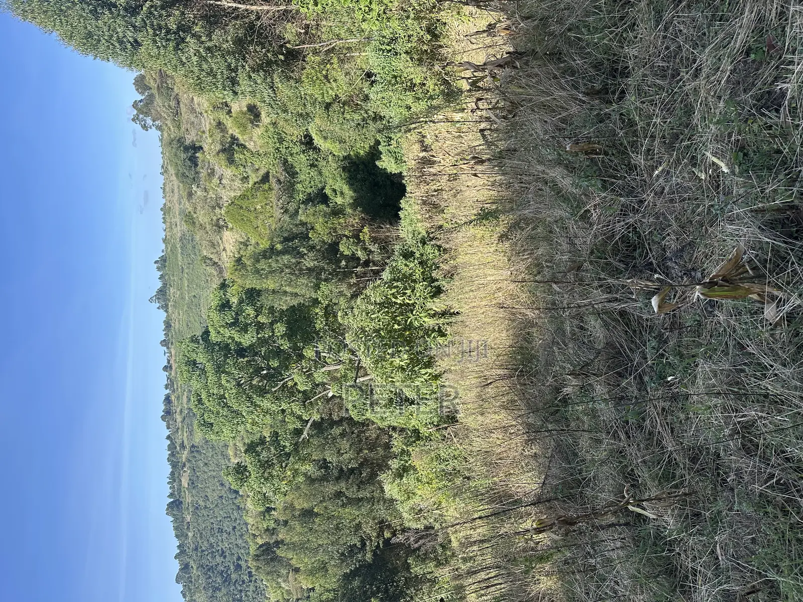 4 Acres Land in Kipipiri for Sale