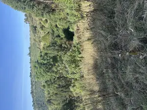 4 Acres Land in Kipipiri for Sale