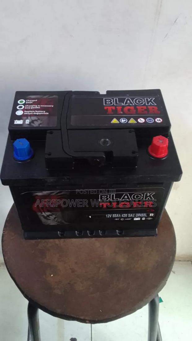 Black Tiger Din 55 Car Battery Mf
