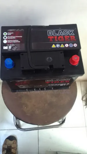 Black Tiger Din 55 Car Battery Mf