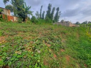 50 X 100 Residencial Plot for Sale in Githunguri Kiambu County - thumbnail 2