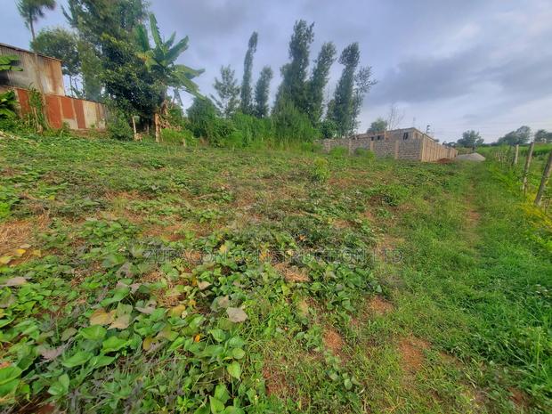 50 X 100 Residencial Plot for Sale in Githunguri Kiambu County - main view