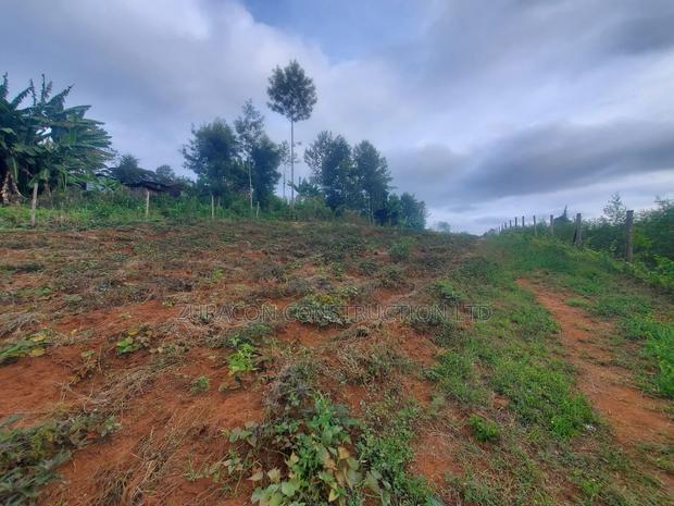 50 X 100 Residencial Plot for Sale in Githunguri Kiambu County - thumbnail 3